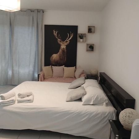 Chaleureux Studio Тулуза Екстериор снимка