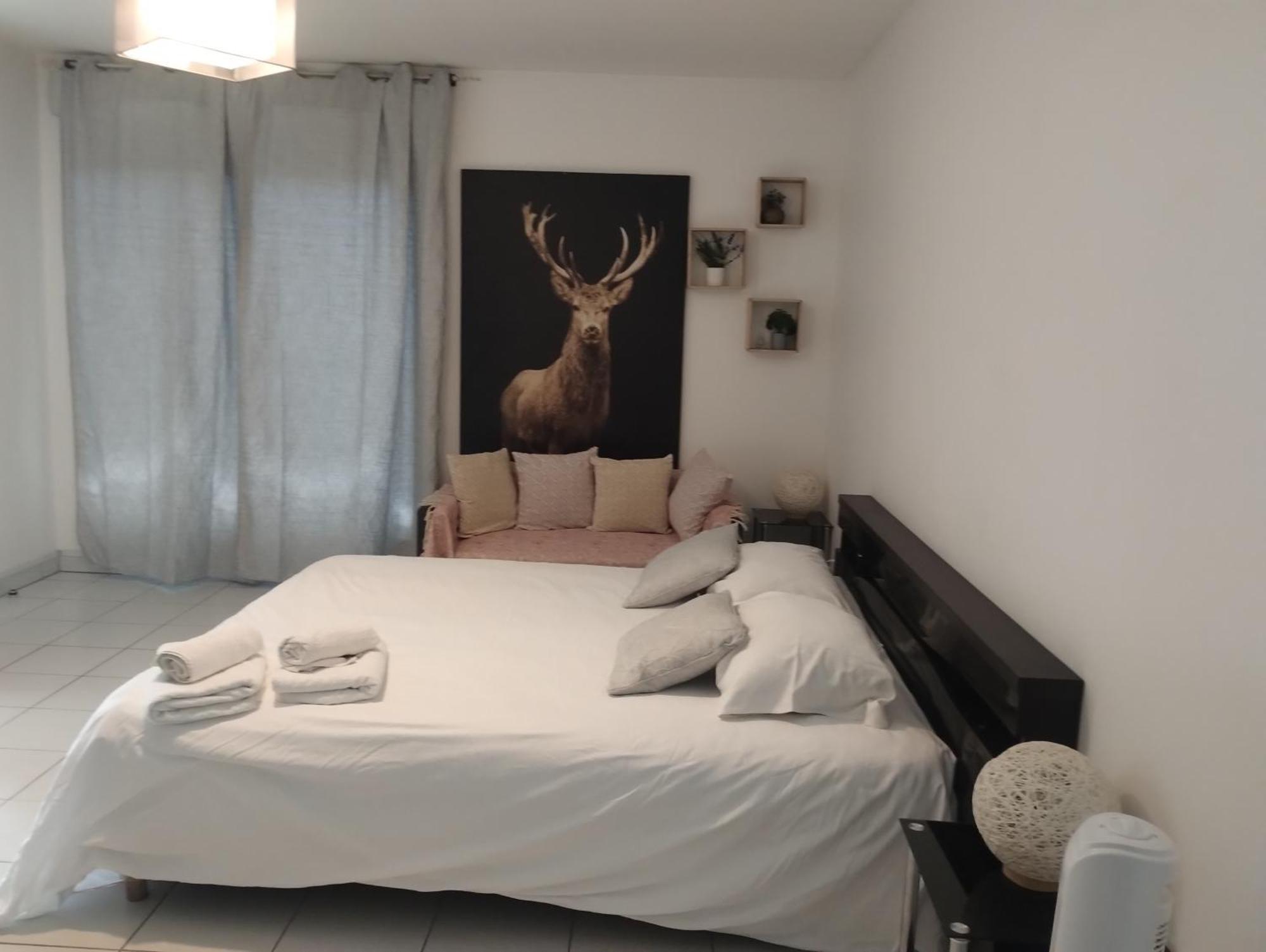 Chaleureux Studio Тулуза Екстериор снимка